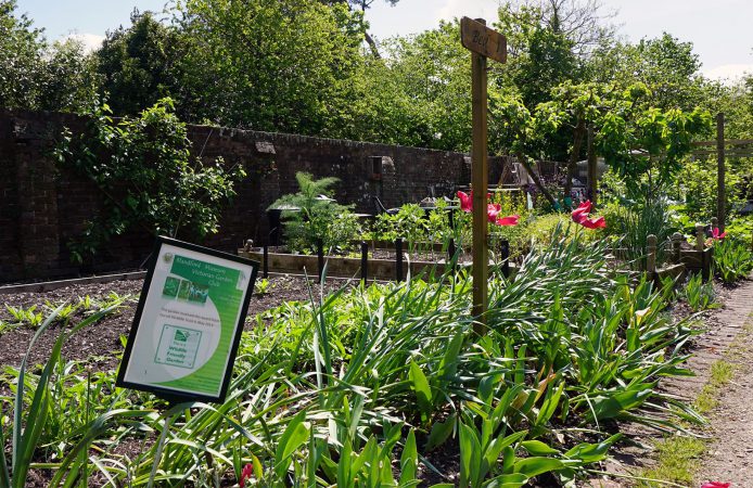 Blandford Museum Victorian Garden Club