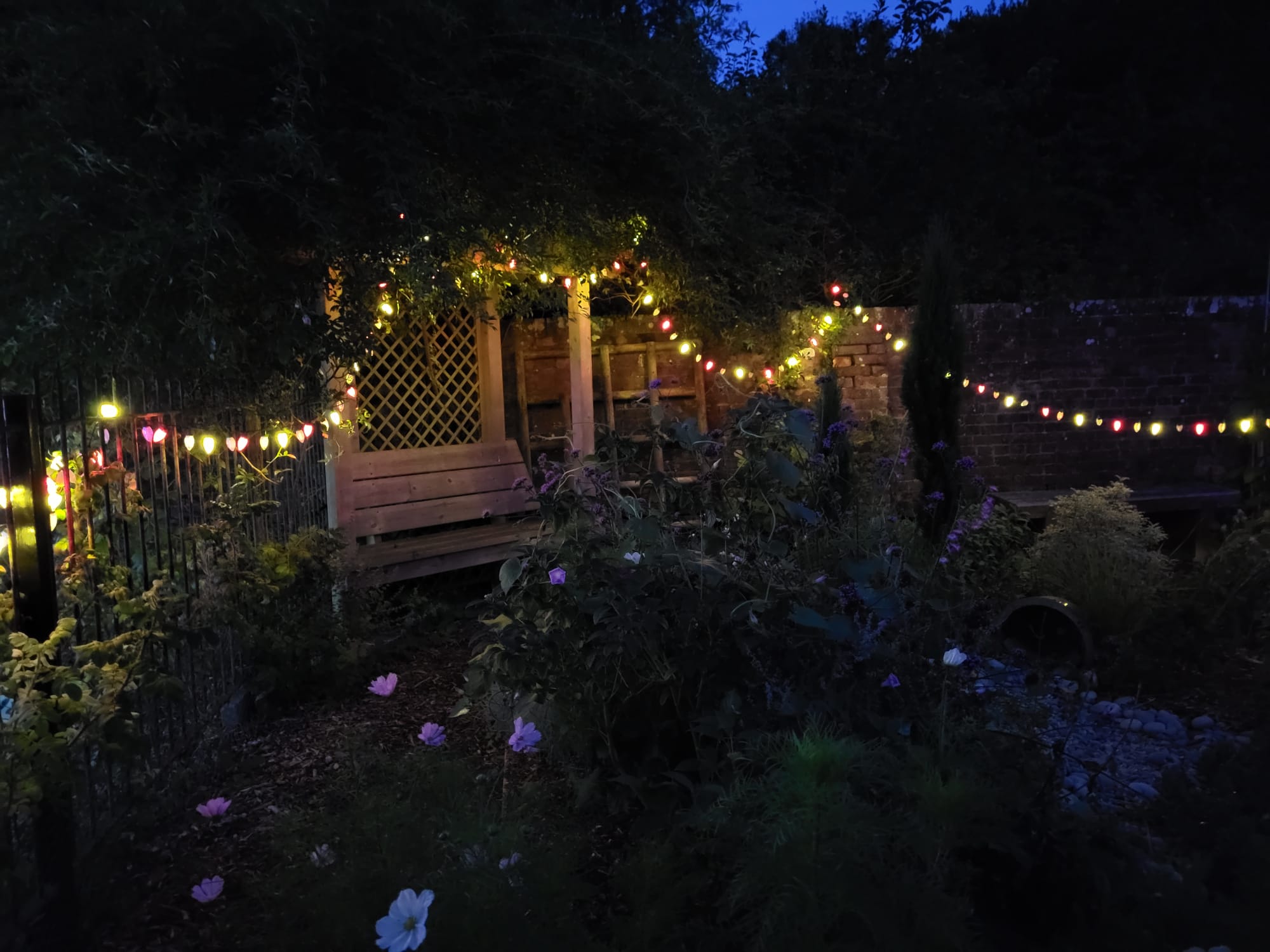 Coloured lights decorate the Museum's Victorian Garden